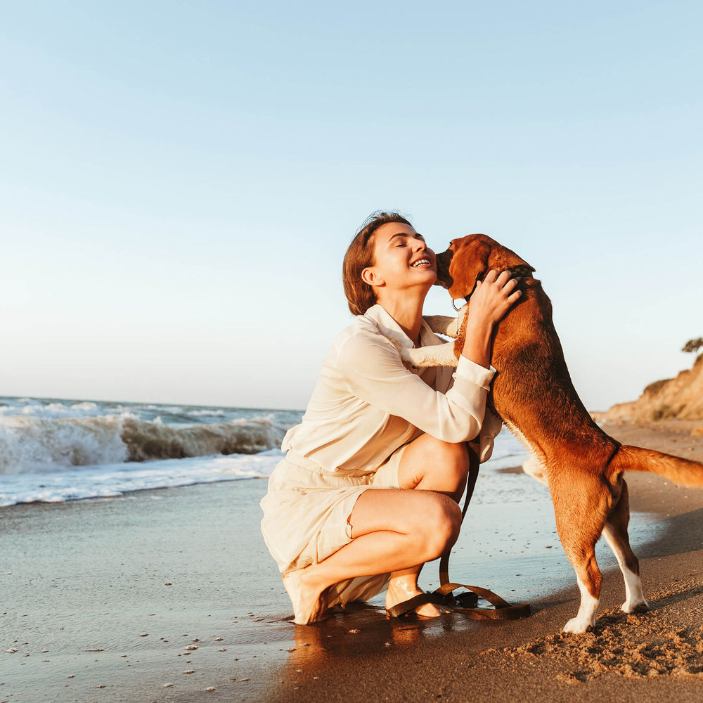 Advantages of Bone Broth for Dogs