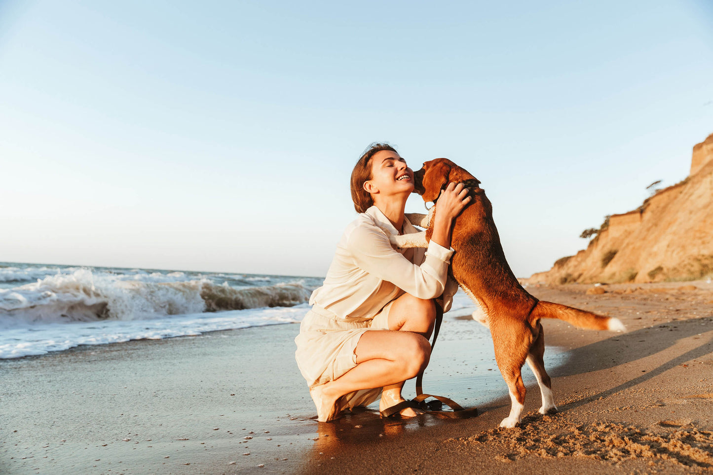 Advantages of Bone Broth for Dogs