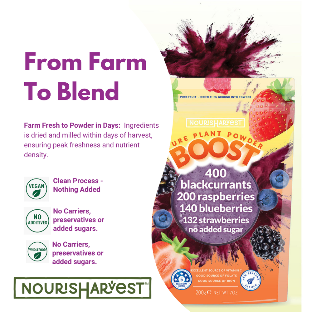 
                      
                        Nourisharvest Berry Smoothie Powder - 100% Natural Wholefood Blend
                      
                    