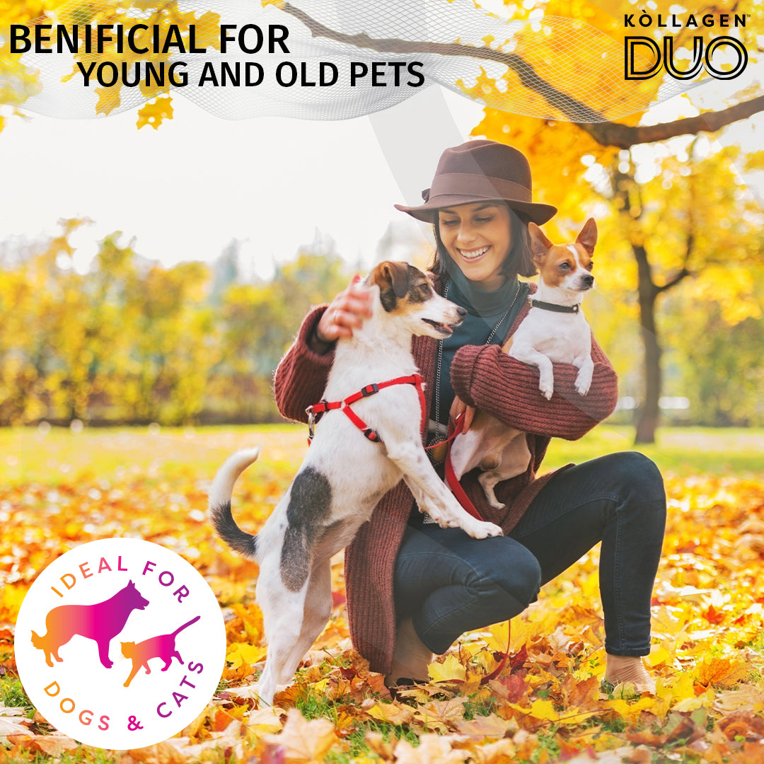 Pet Collagen Peptide Powder - Supports Bone, Joint, Skin, Coat and Digestive Health 300 grams