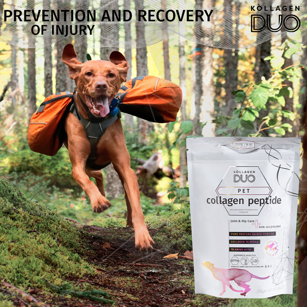 Pet Collagen Peptide Powder - Supports Bone, Joint, Skin, Coat and Digestive Health